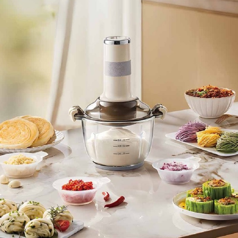 300W 2.5L Meat Mincer
